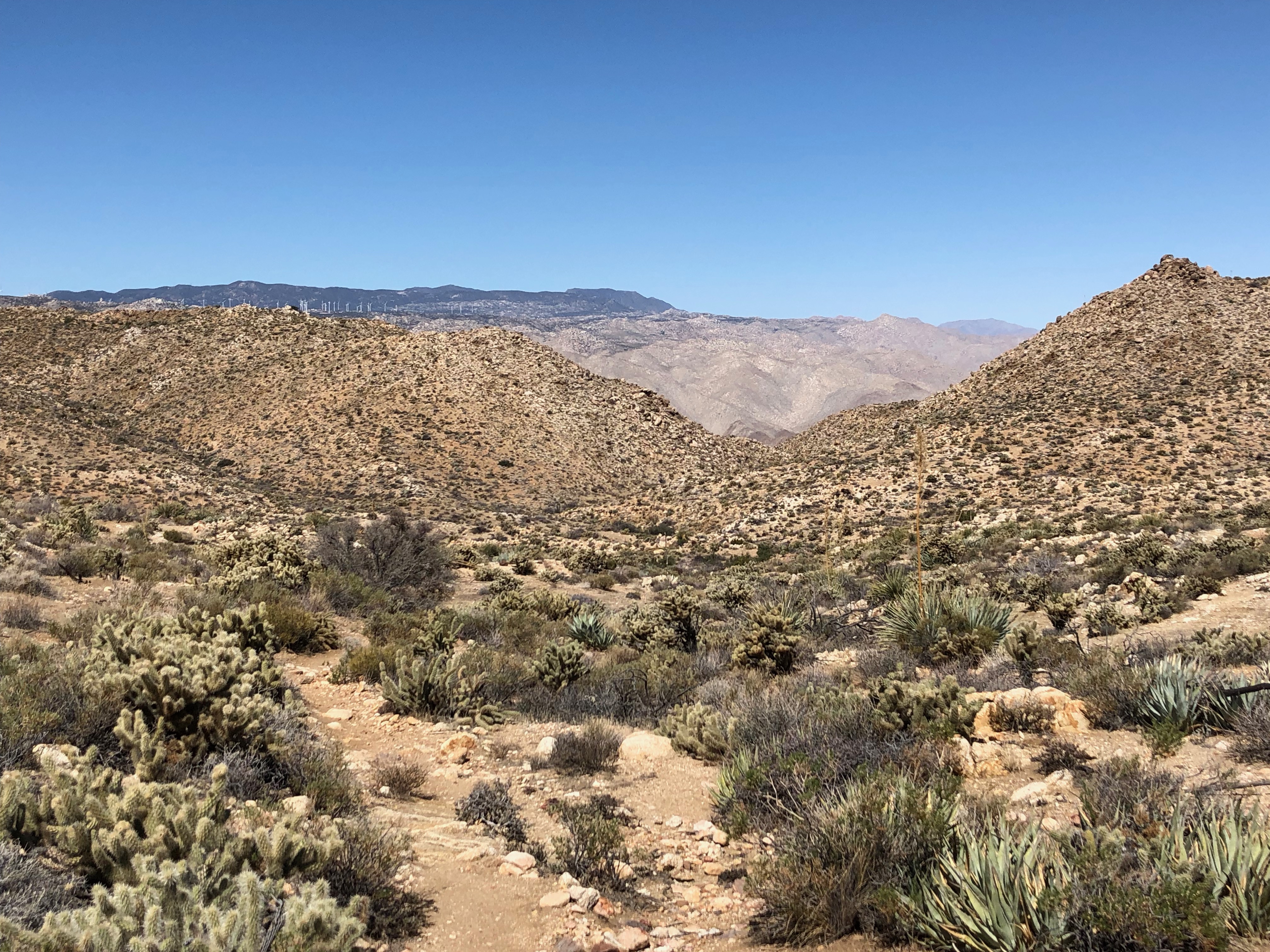 Trail looking South East.jpg