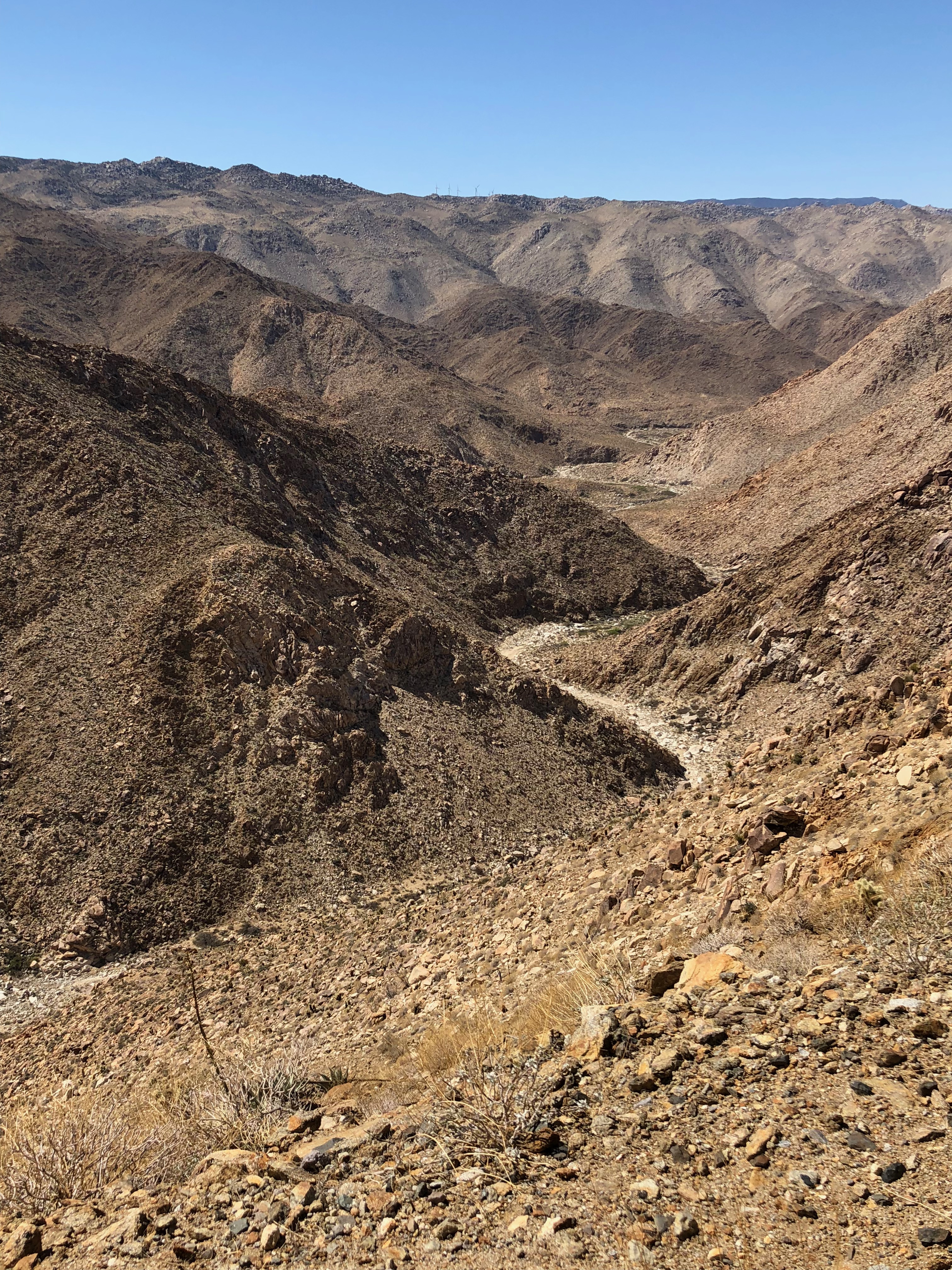 Carrizo Gorge.jpg