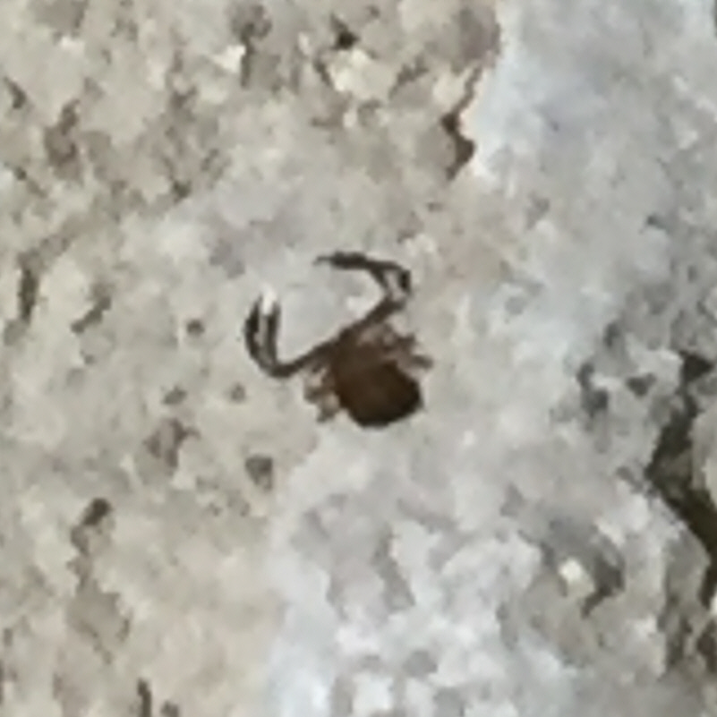 20180304 121007.jpg