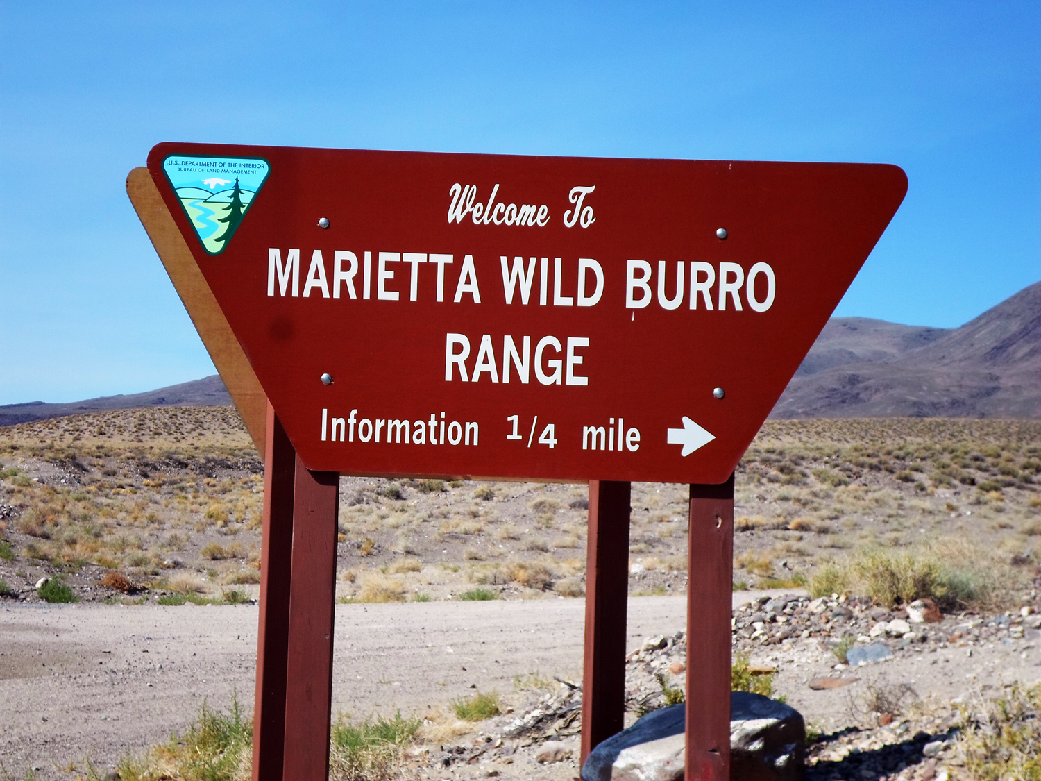 Sign 1.jpg