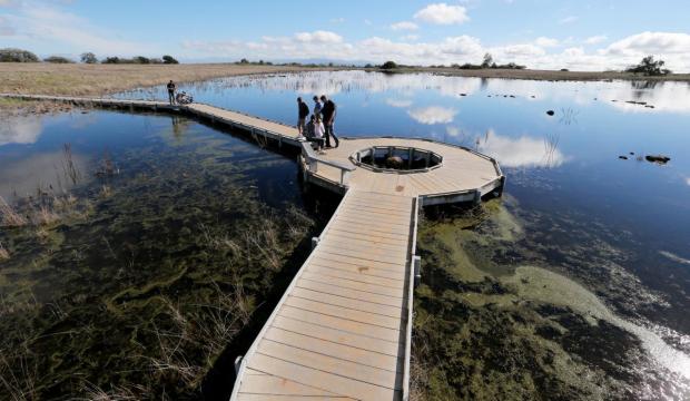 Vernal Pool walk makes it easy to see wildlife.