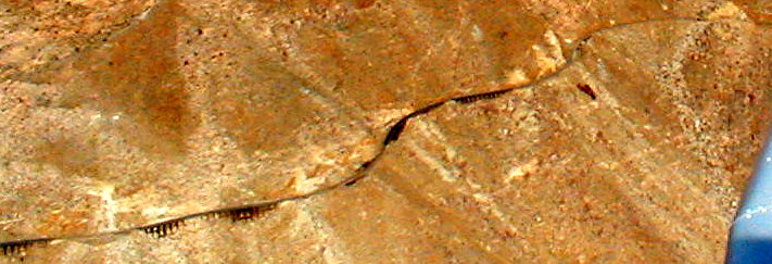 P3091524_1.JPG