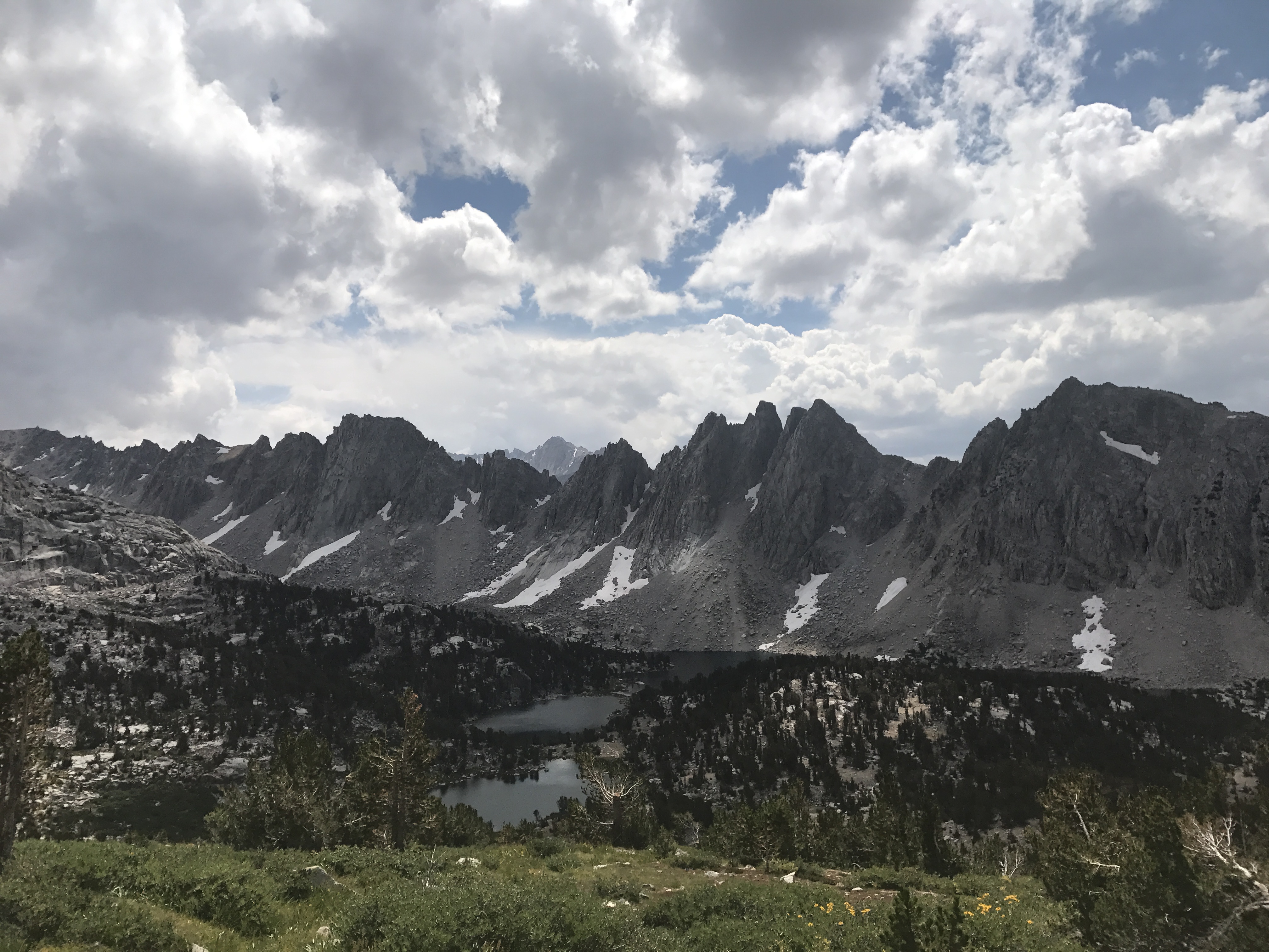 983F6068-F570-447A-A6D5-65FF7F6F687D.jpeg