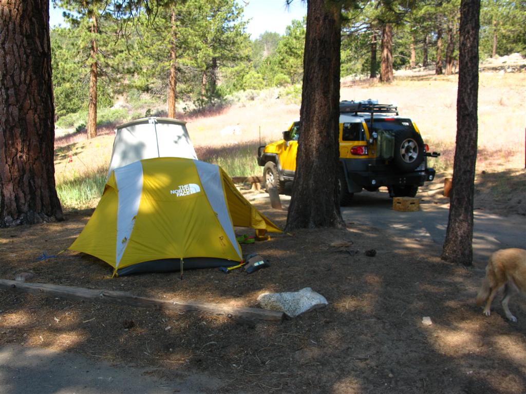 IMG_1079 (Large).JPG