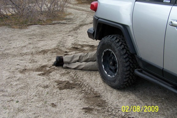 At first I thought a tourist had gotten in  the road.