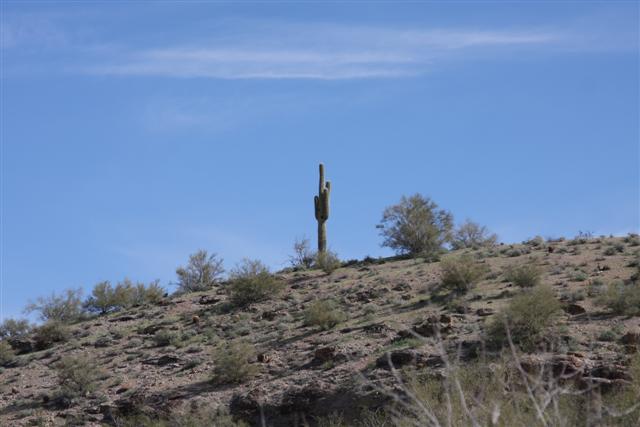 Havasu 006 (Small).jpg