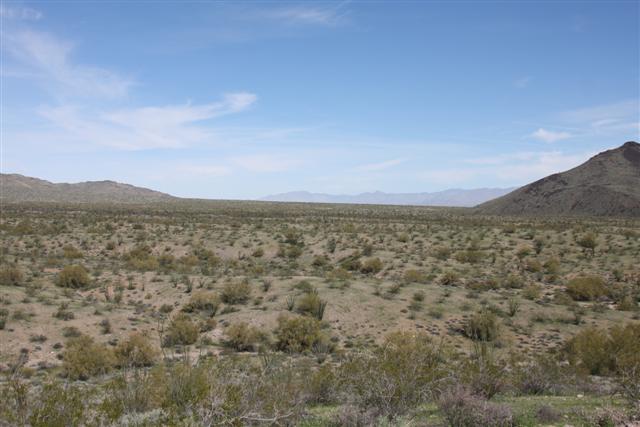 Havasu 011 (Small).jpg