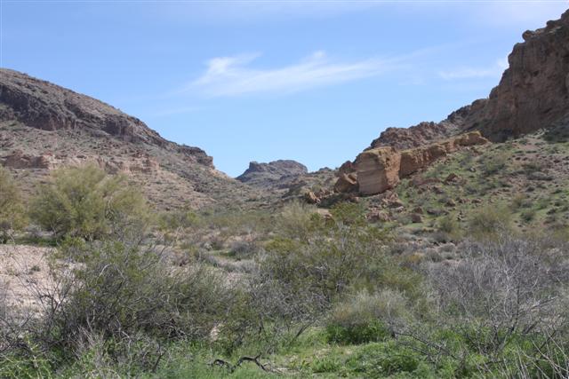 Havasu 017 (Small).jpg