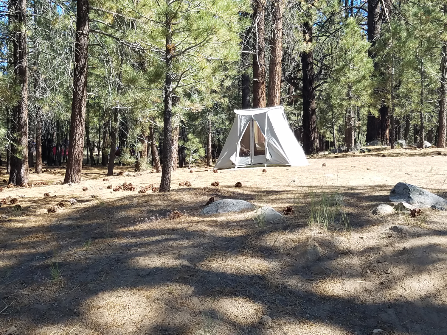 Tent P.jpg