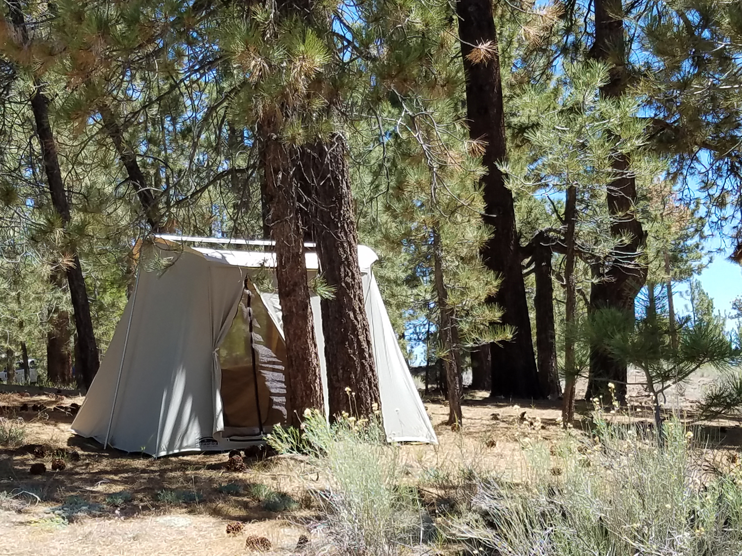 Tent T.jpg