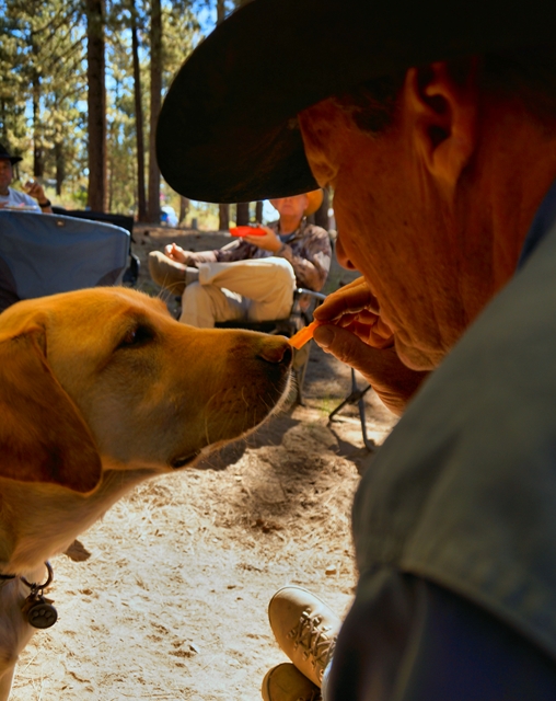 CJ approves of the social aspect of the OAUSA FD 2018 Chow Plan!