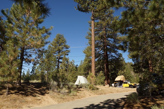 Coax and tents...