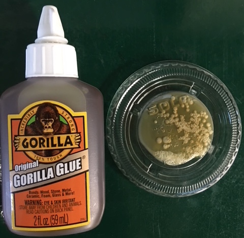 Gorilla Glue.JPG