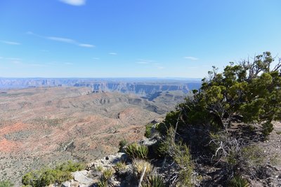 DSC_0498.jpg