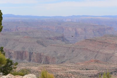 DSC_0453.jpg