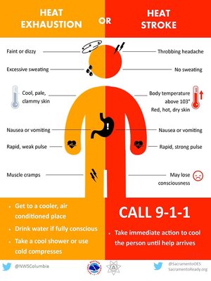 HeatInjury.jpg