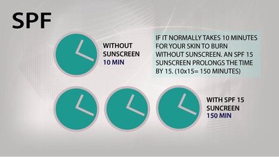 SPF.jpeg