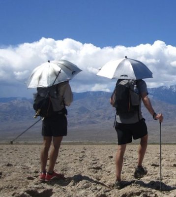 Umbrellas.jpg
