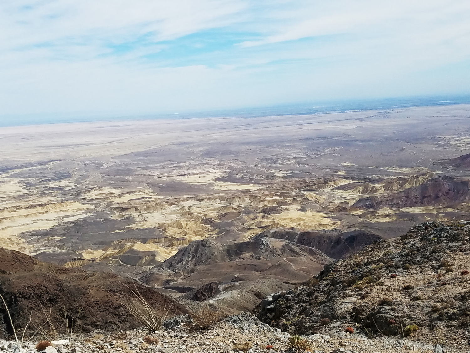 Trail Run 4.jpg