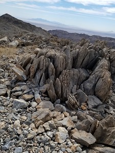 20181006_105357-S.jpg