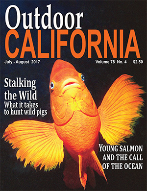 OutdoorCalifornia Cover.jpg