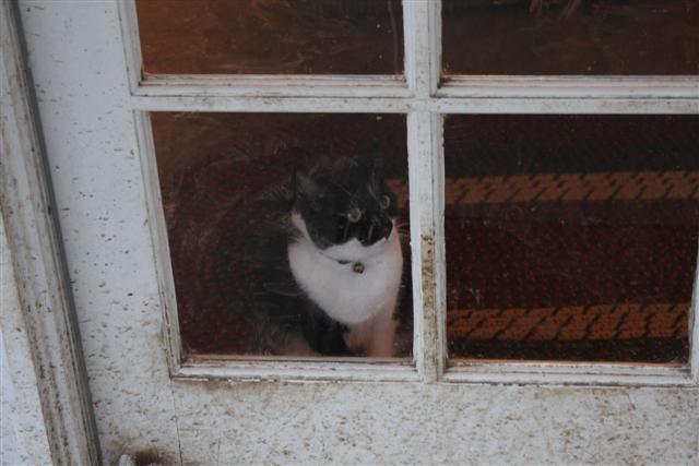 Puddy thinking of trouble