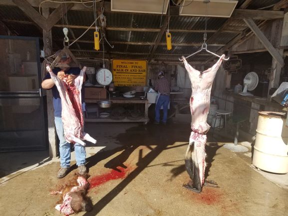 Boar-Hang and Skin Small.jpg