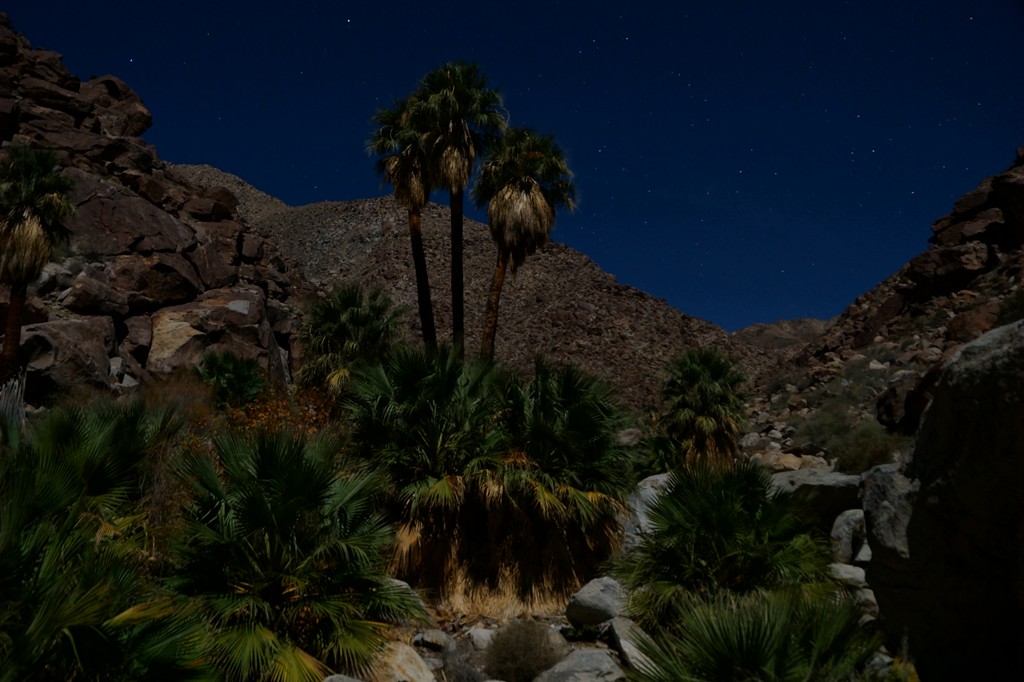 Another site seen that is totally different under moonlight.