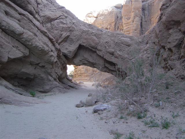 Arch