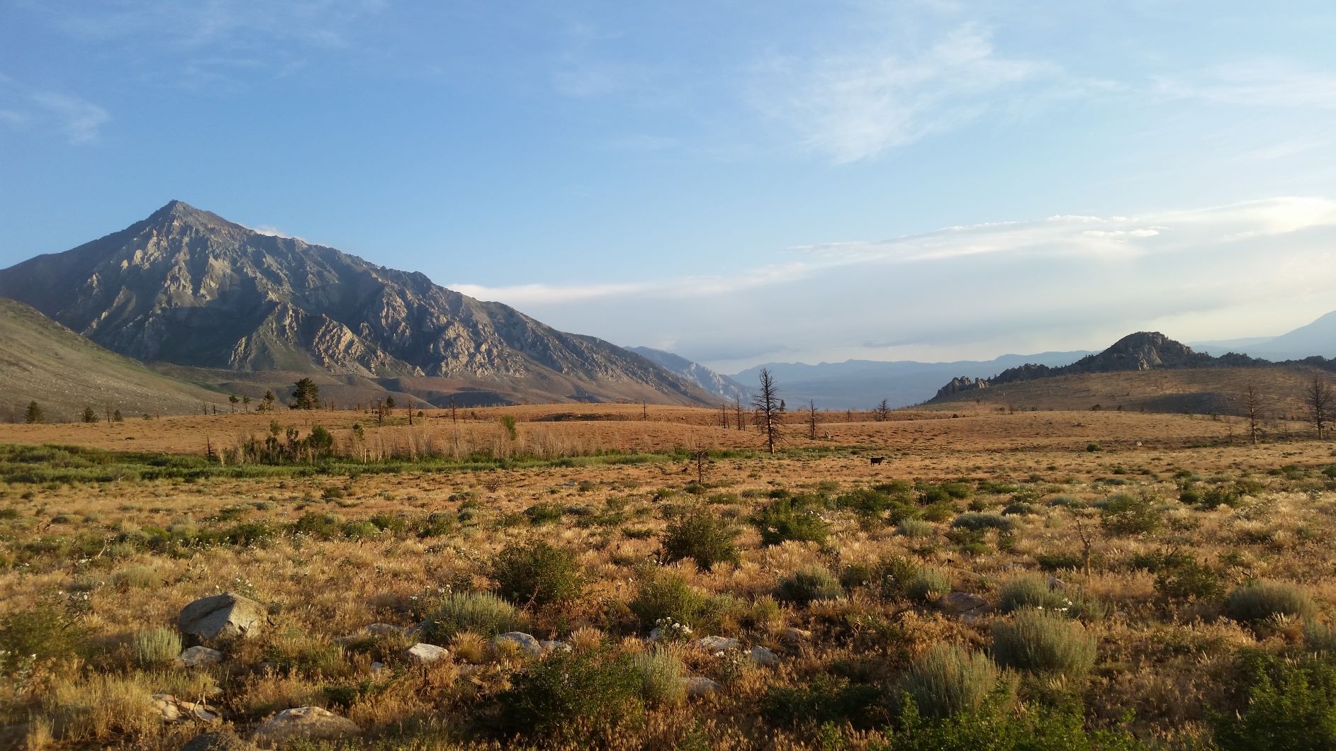 Coyote Flat  8.jpg