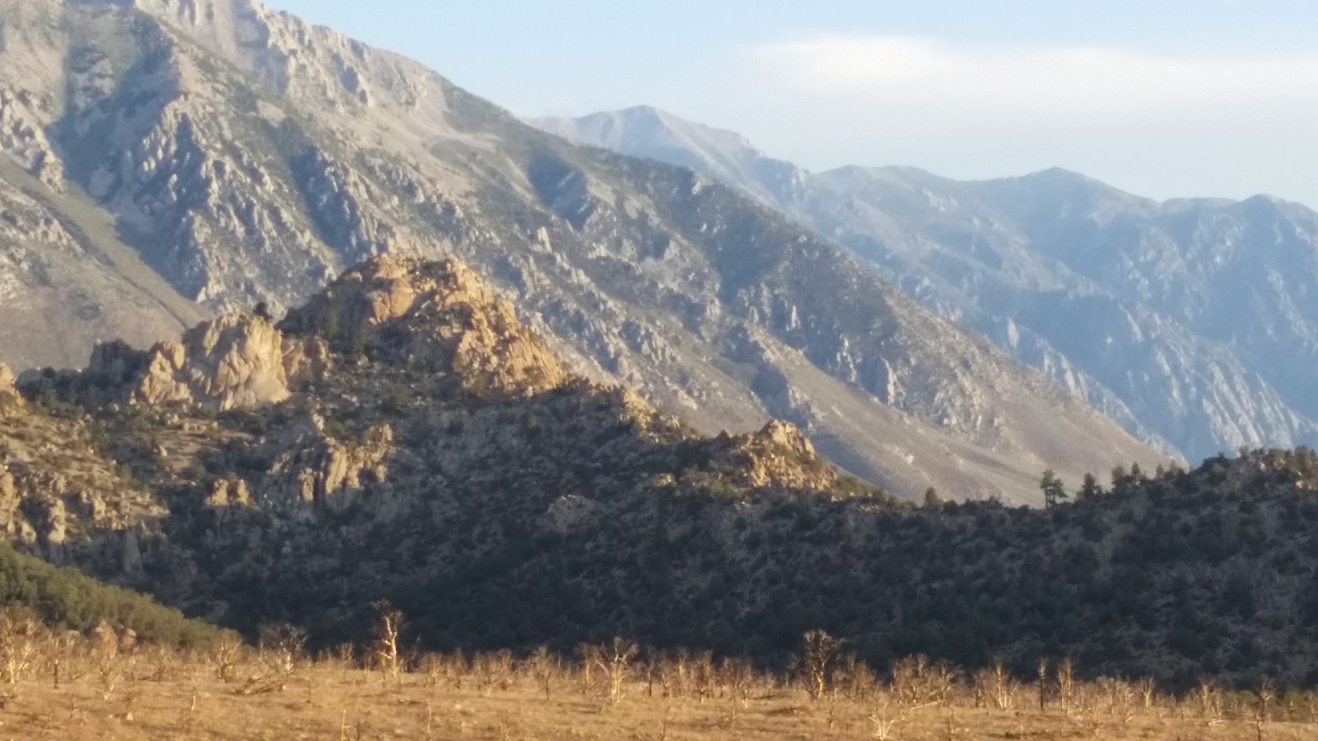 Coyote Flat  9.jpg