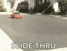 tenor.gif