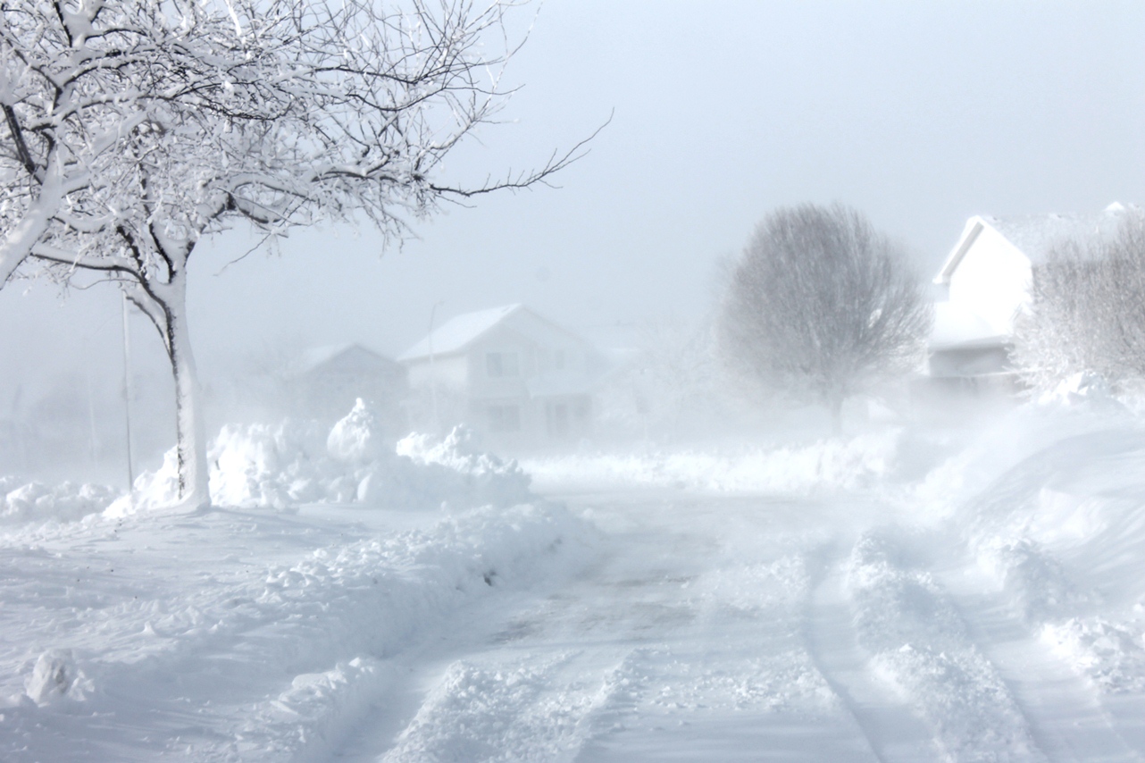 My driveway