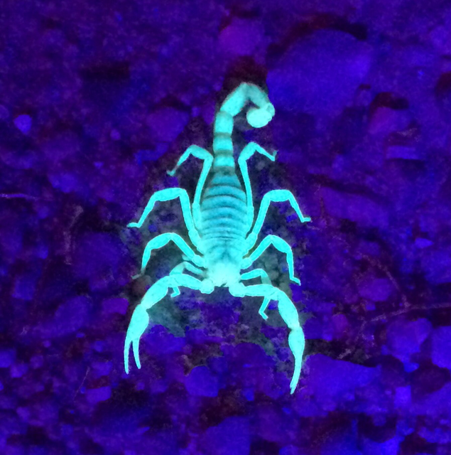90B1B913-2622-4532-B89D-081DD40D96A8.png