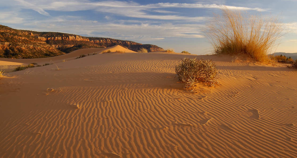 Coral Pink Sand Dunes State Park, Utah-2.jpg