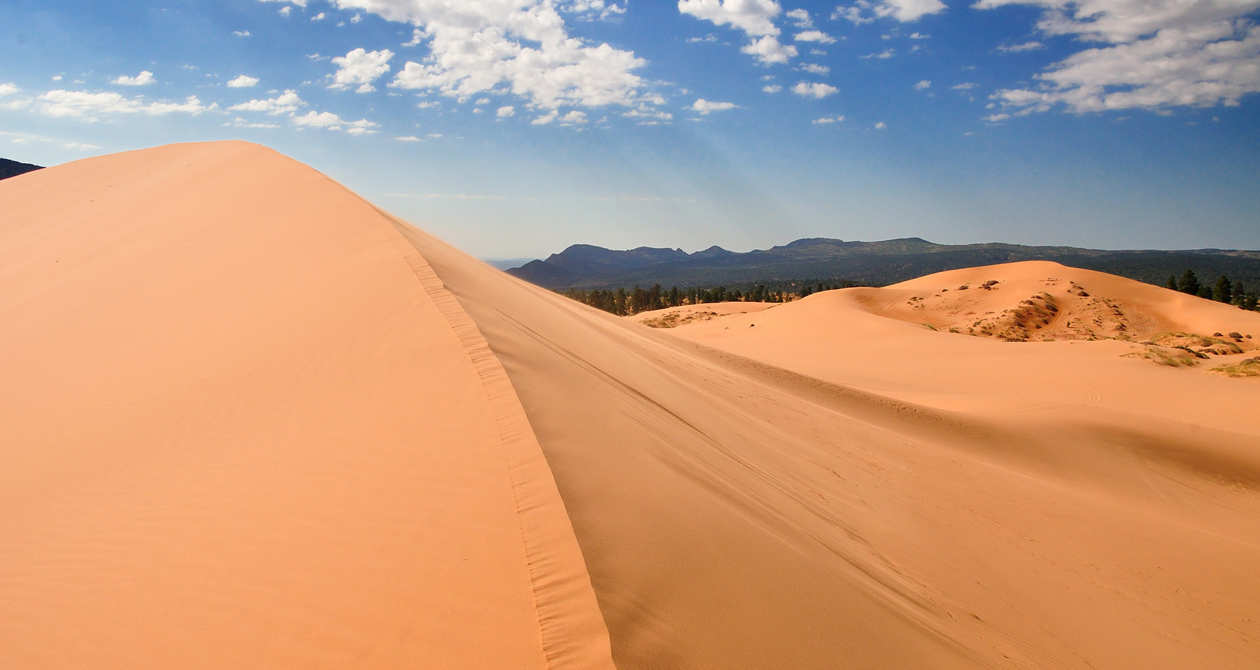 Coral Pink Sand Dunes State Park, Utah.jpg