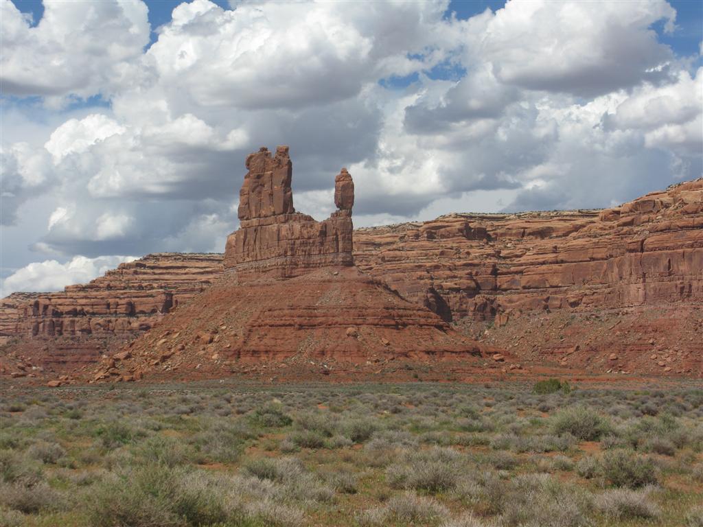 IMG_0492 (Large).JPG