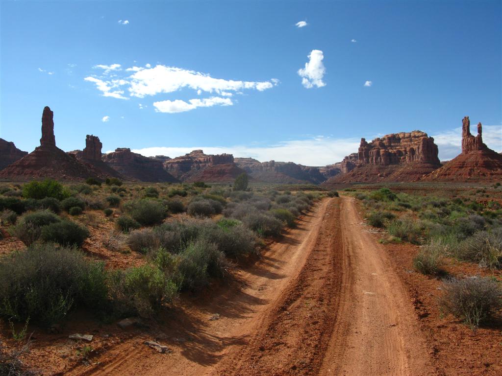 IMG_0510 (Large).JPG