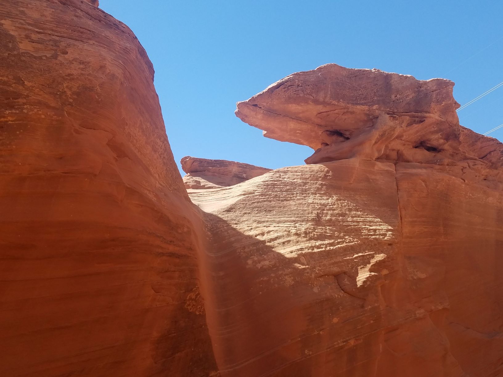 S 20190423_095333.jpg