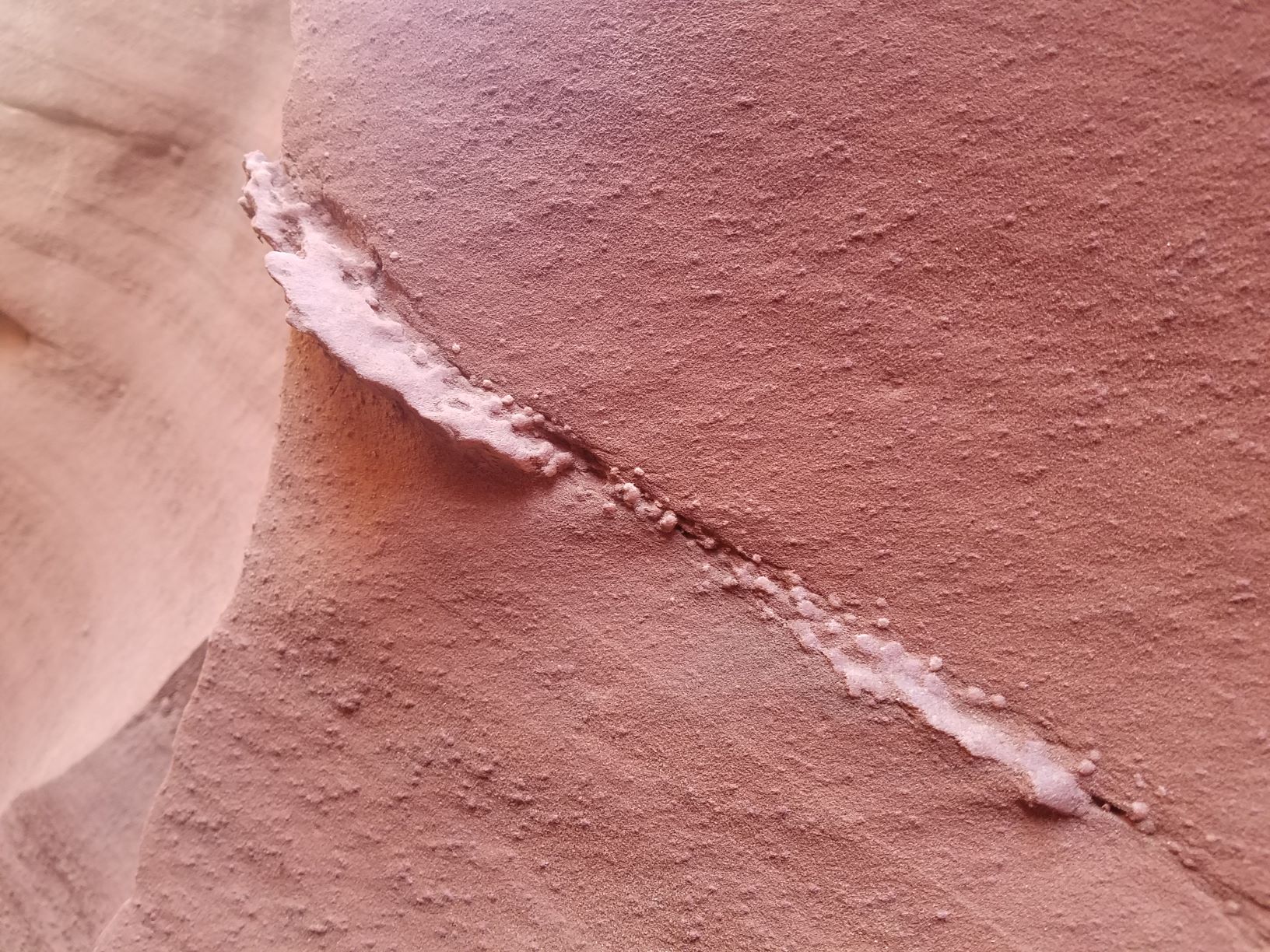 S 20190423_102320.jpg