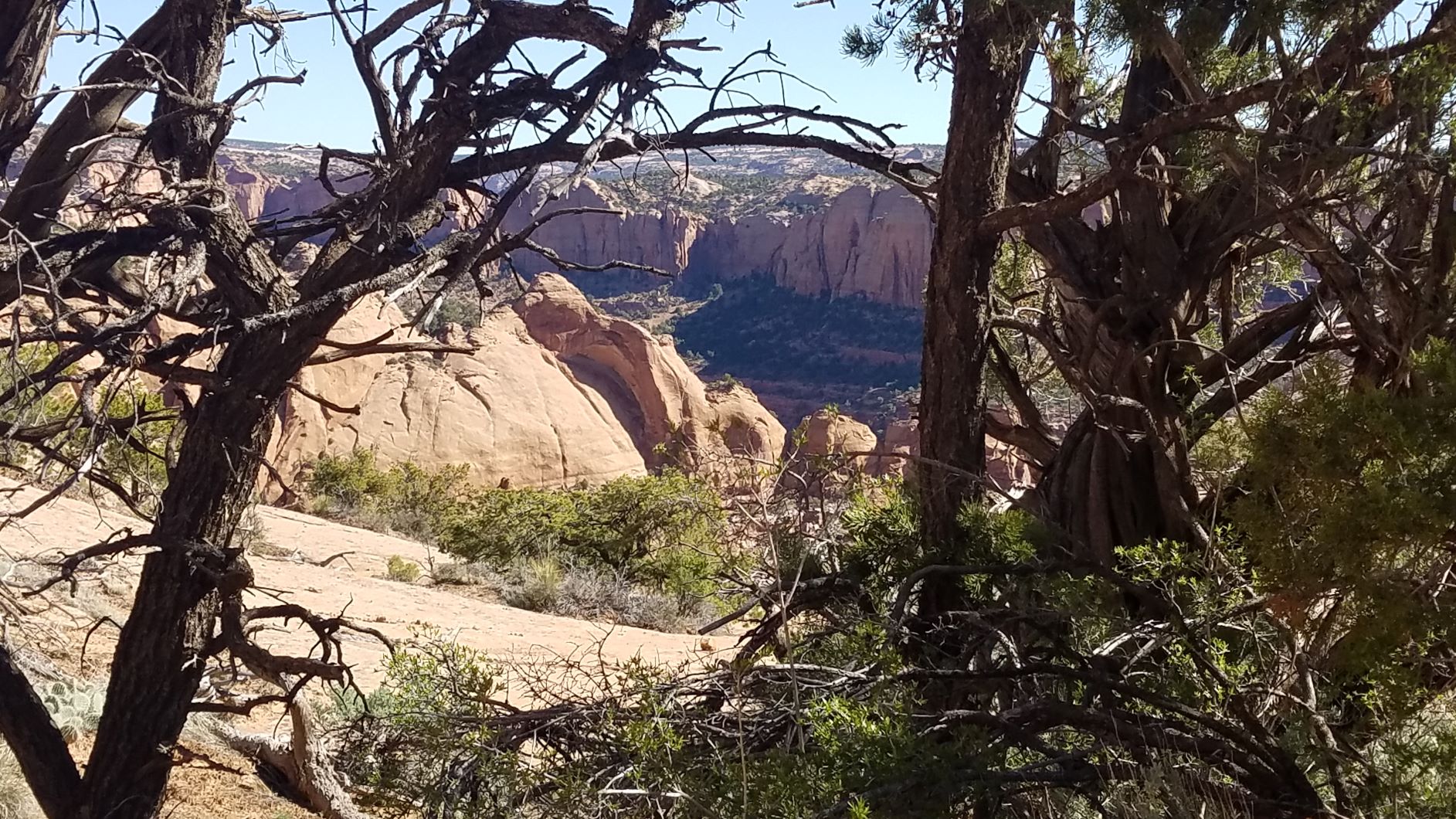 S 20190425_095529.jpg
