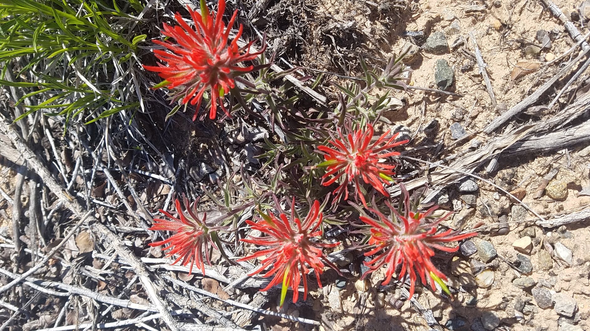 S 20190427_121928.jpg