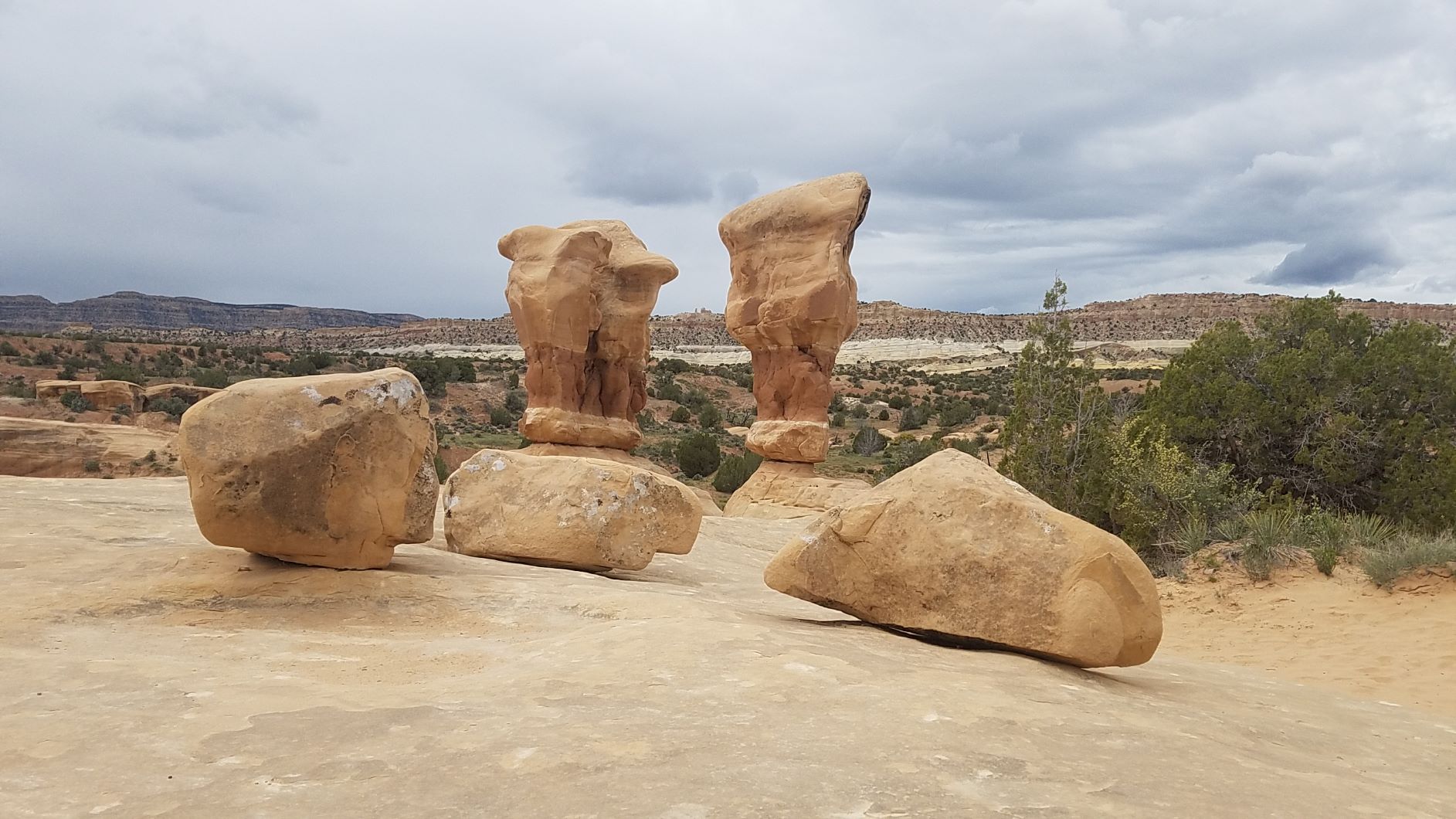 S 20190429_123204.jpg