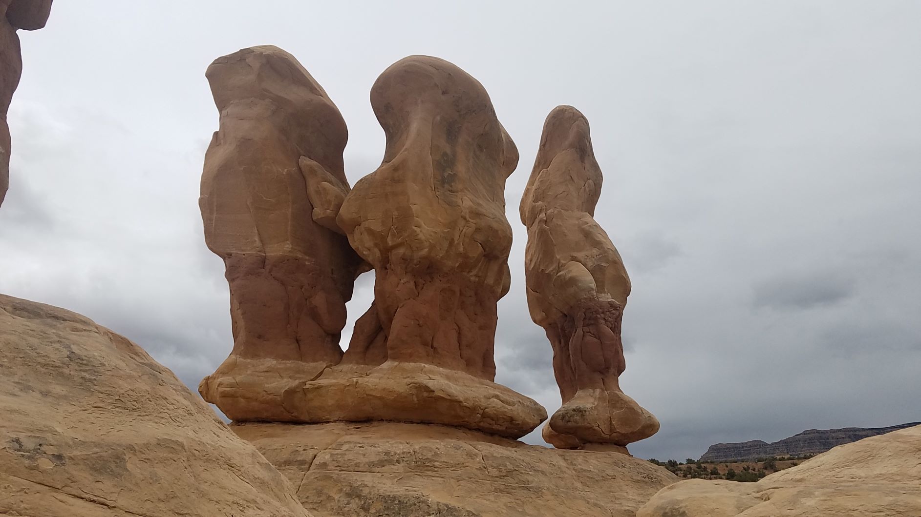 S 20190429_123342.jpg