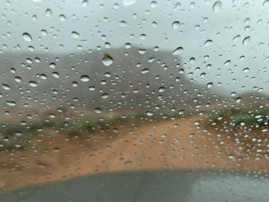 20190429 100510_R.jpg