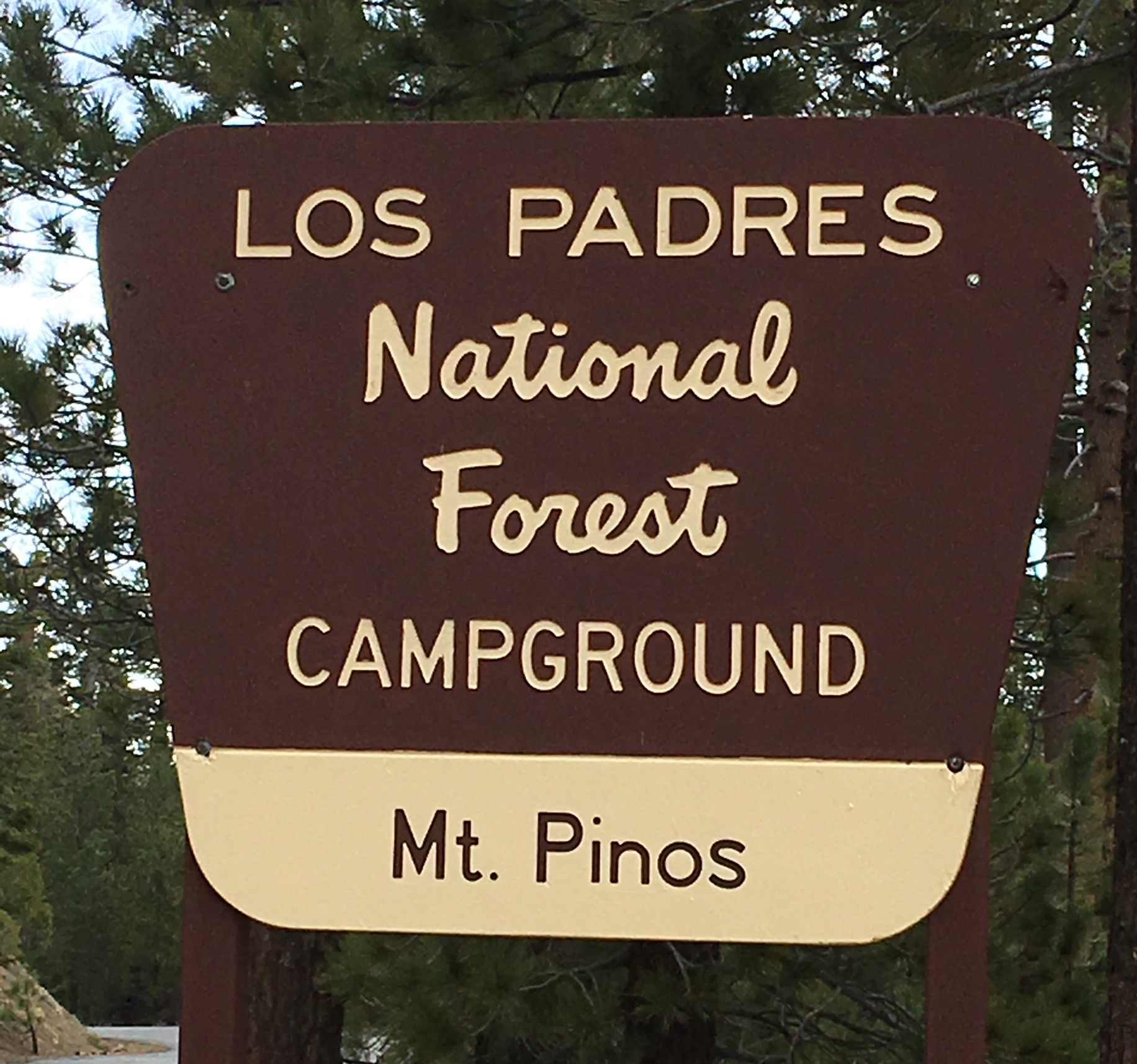 Mt Pinos Campground is located approximately 18.5 miles from the 5 freeway in Frasier Park. All roads are fully paved.