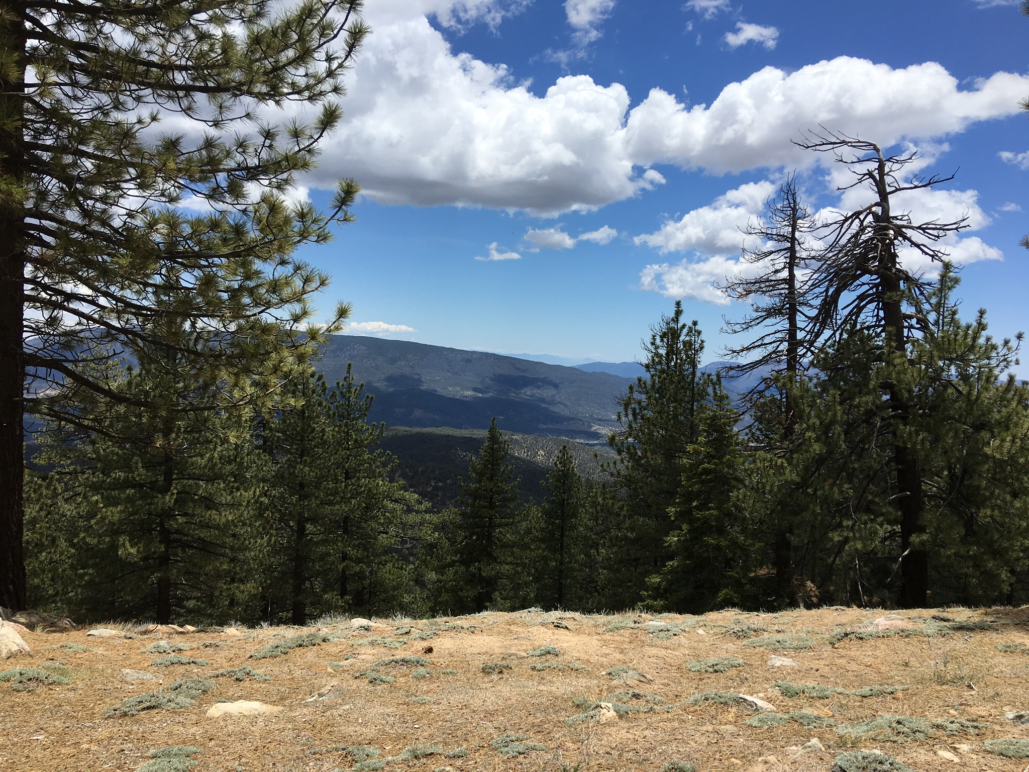 The Campground is oriented roughly East and slopes down slightly which should make propagation great from a terrain standpoint.