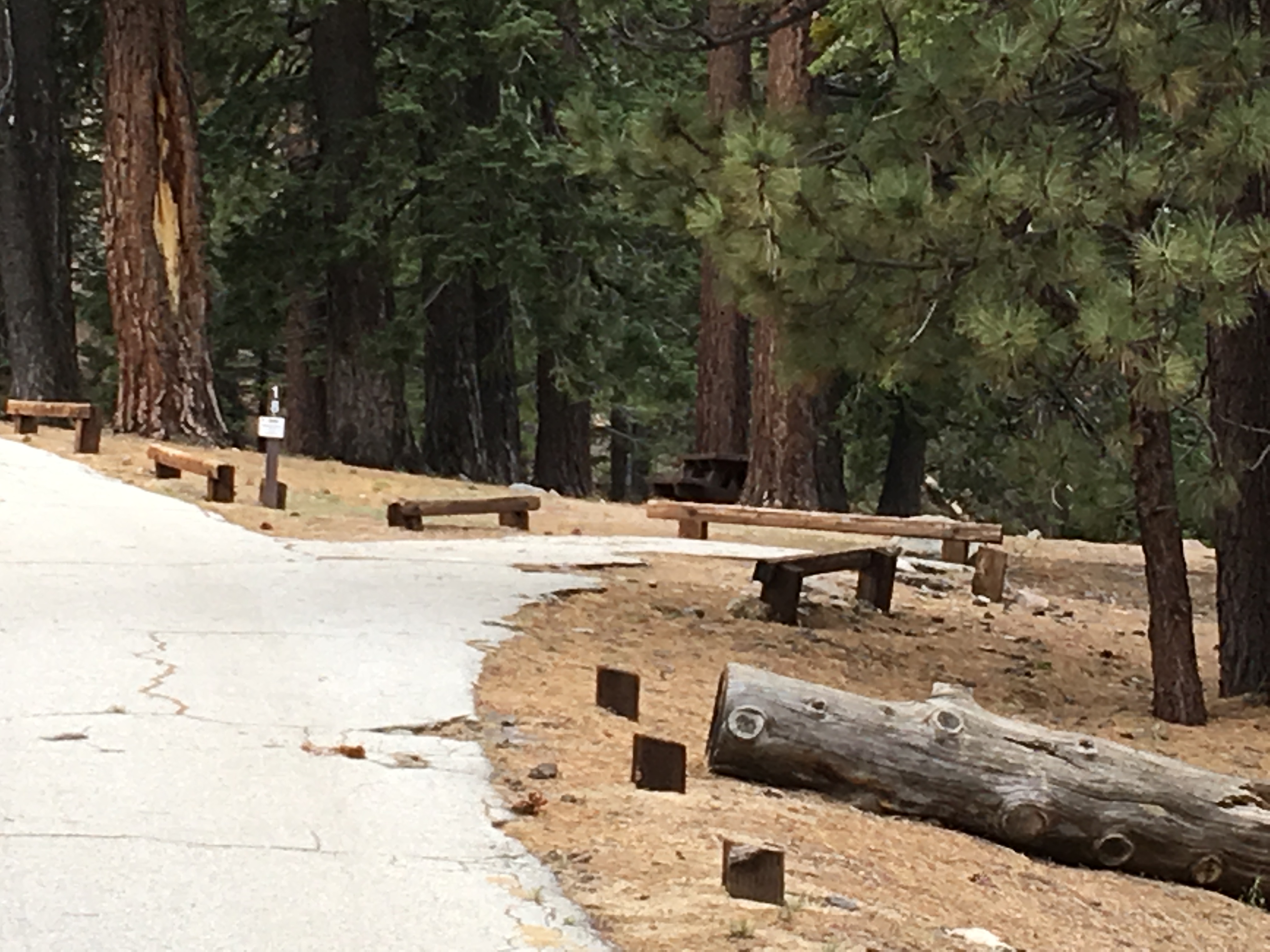 All campsites have a picnic table and fire ring. Several vault toilets are located in the campground. There is no potable water.