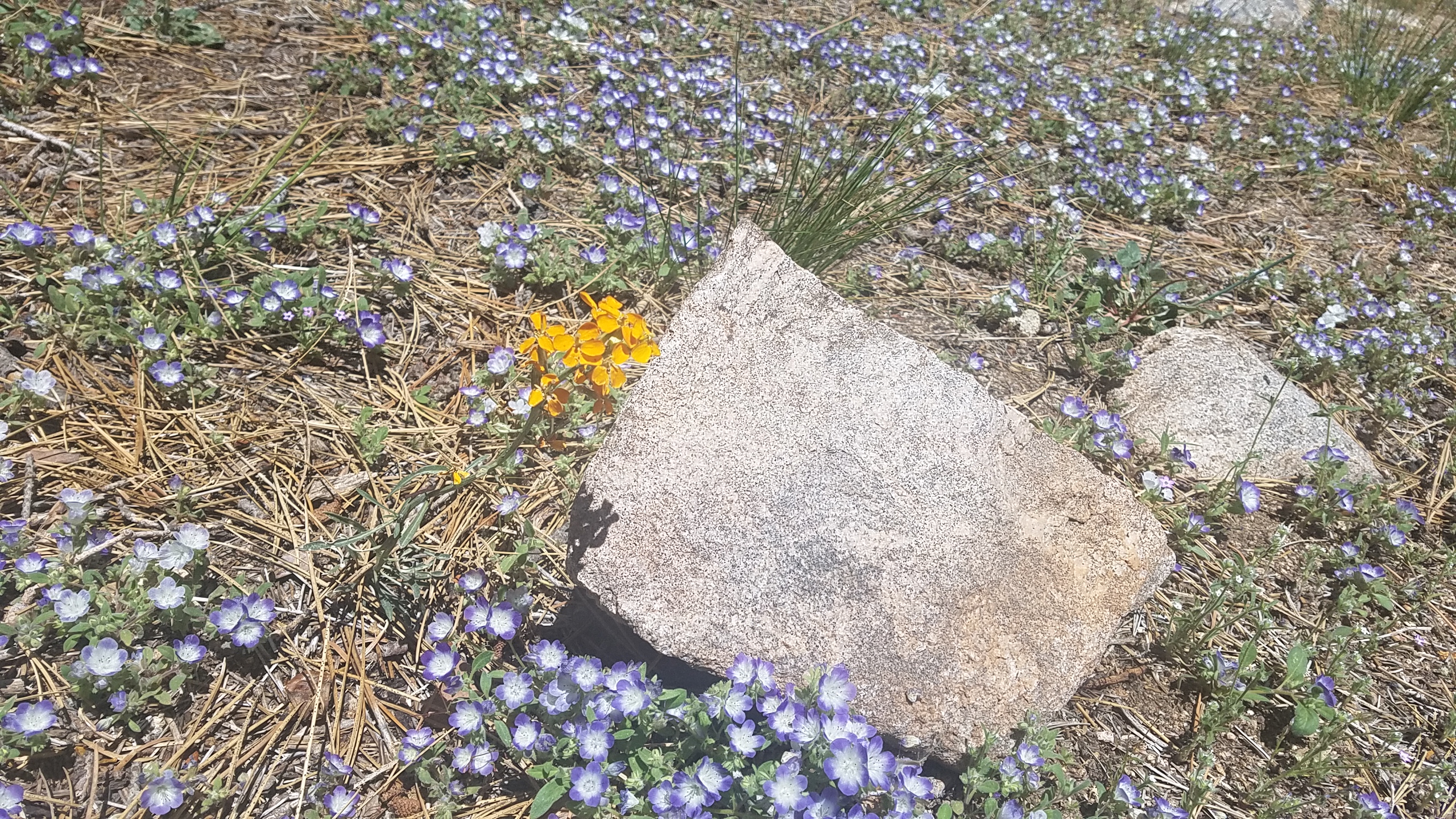 20190621_113054.jpg