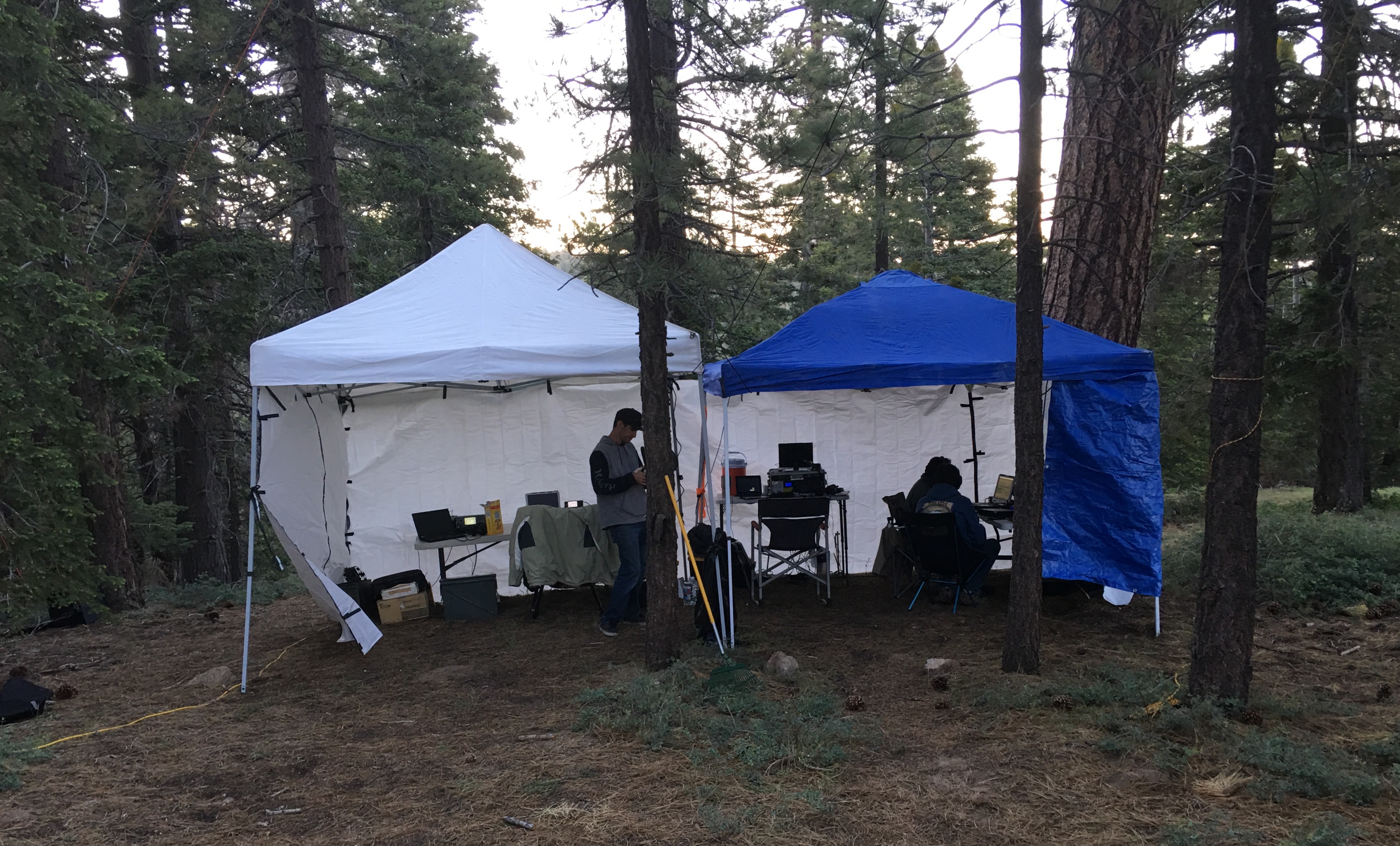 Our Ham Shack was placed amongst a tall stand of Pines. Perfect for erecting many antennas.